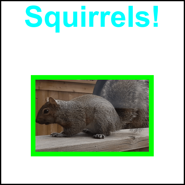 Squirrels-Cover