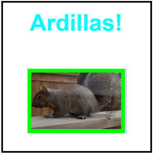 Ardillas