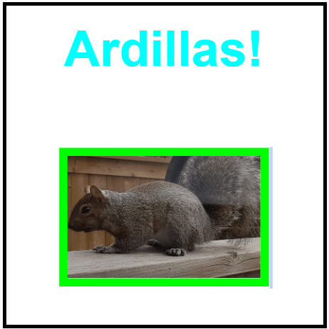 Ardillas