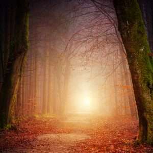 The 6 kids and the magical world